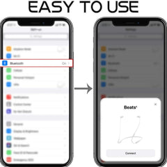 Dual Port Snabbladdare + Lightning -kabel + Hörlur med Lightning -kontakt