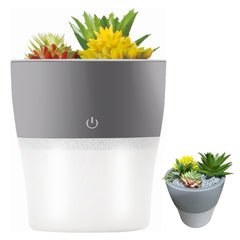 Mini USB-luftfuktare med diffuserfunktion – Dekorativ blomkruka för bord