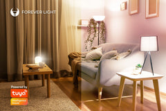 Smart RGB LED E27 Wifi Glödlampa 10W/60W, 806lm FOREVER